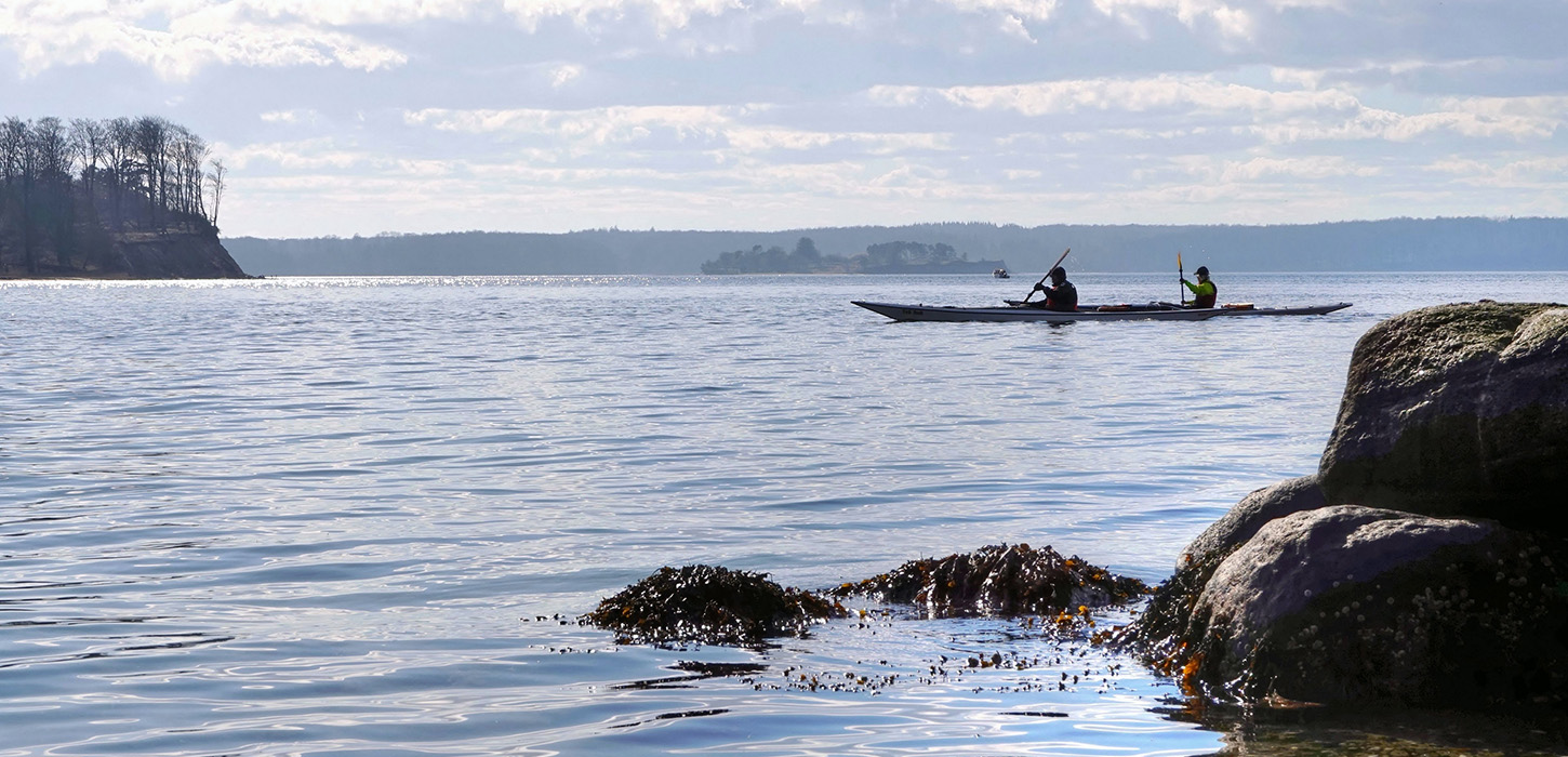 Kajaktur på Fænøsund  - Middelfart