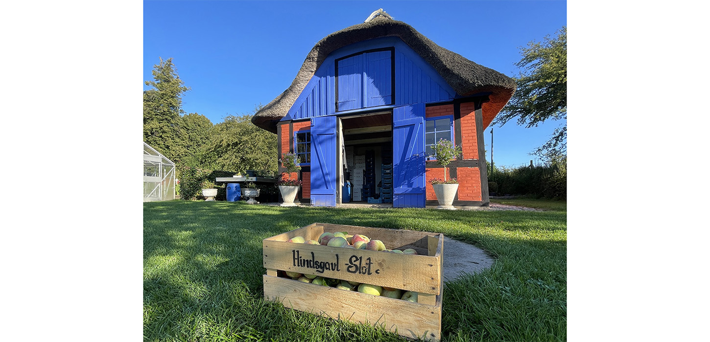 Æblehøst på Hindsgavl Slot i Middelfart