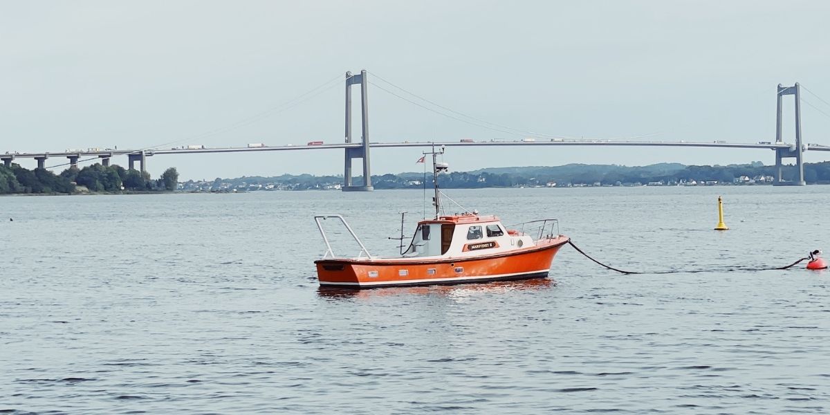 Sejlbåd i Middelfart med Den nye Lillebæltsbro i baggrunden