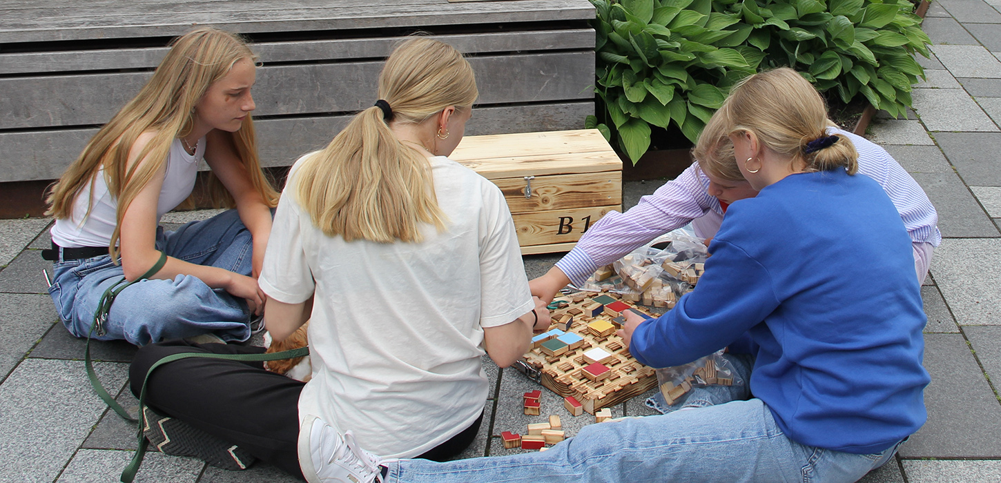 Escape game i Middelfart - red de små Marsvin i Lillebælt