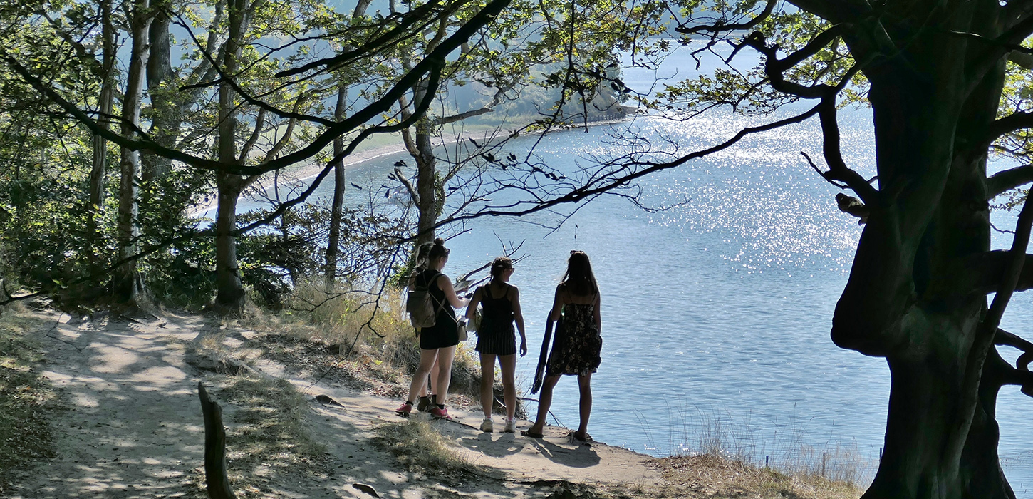 Lillebæltsstien- smuk udsigt fra Gals Klint
