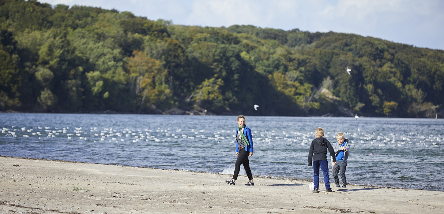 Kilometervis af strand i Middelfart Kommune