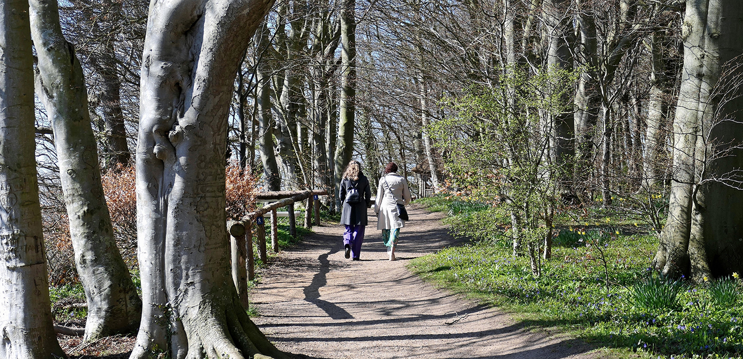Vandre i forårssolen på Lillebæltsstien i Middelfart