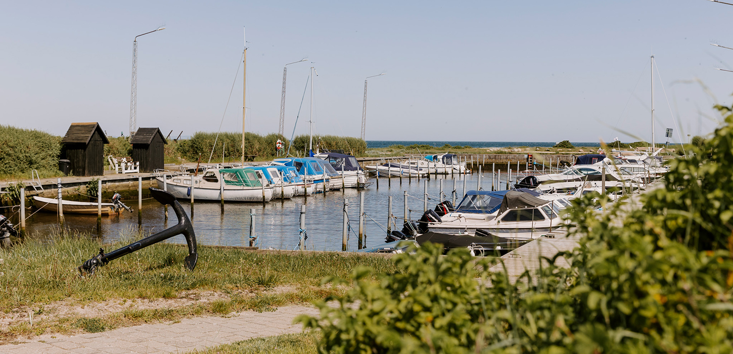 Idyllisk lille havn i Varbjerg