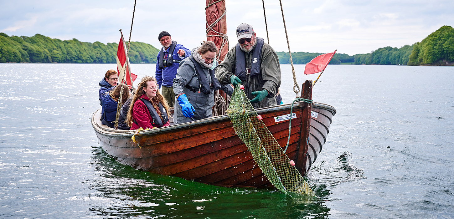 Krabbejagt i Fænøsund