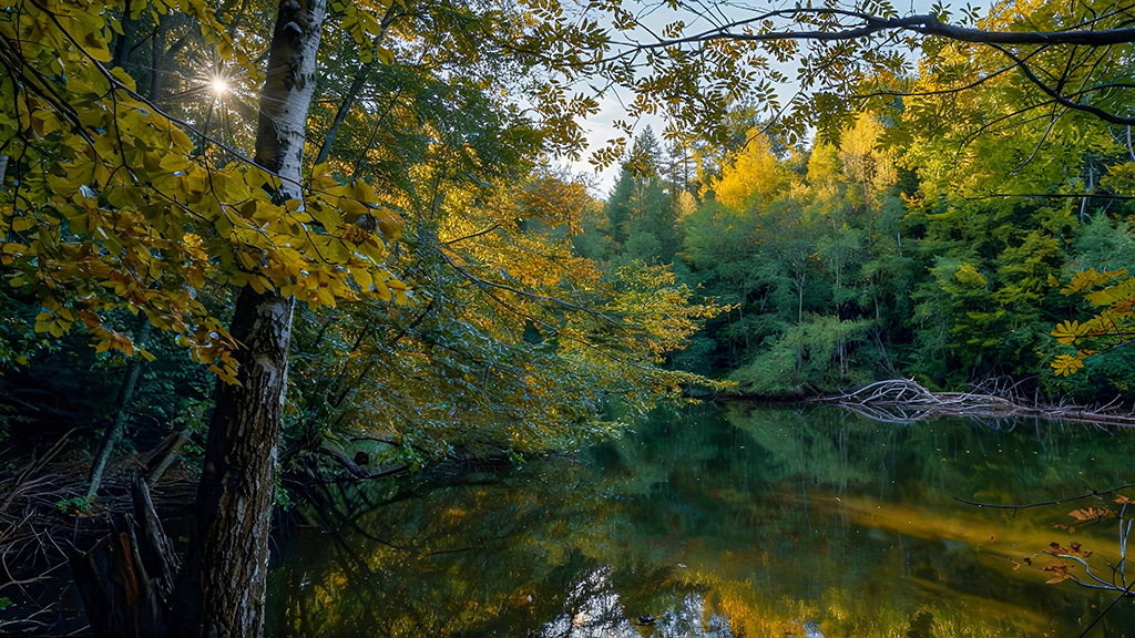 Efterårsstemning ved Batteriplantagen_Hindsgavl Halvøen_Middelfart