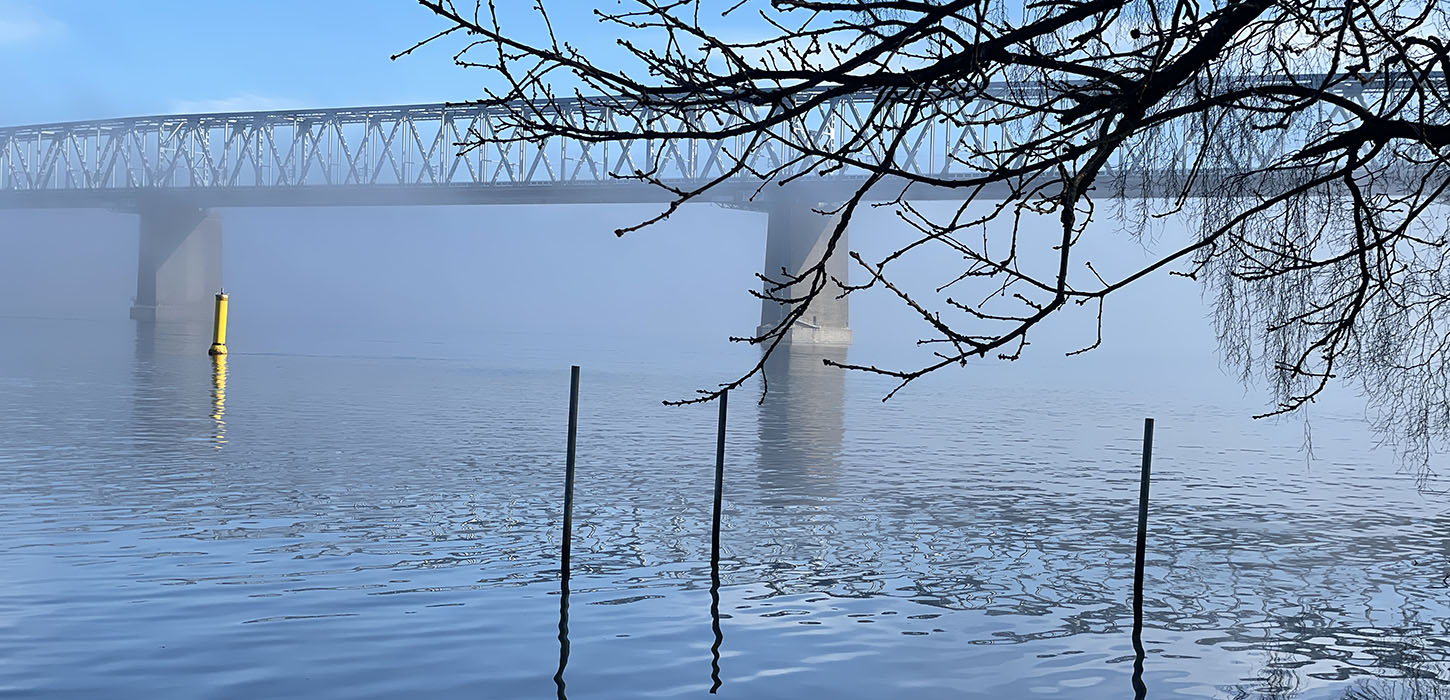 Lyset ved Lillebælt finder du i mange kunstværker fra Middelfart