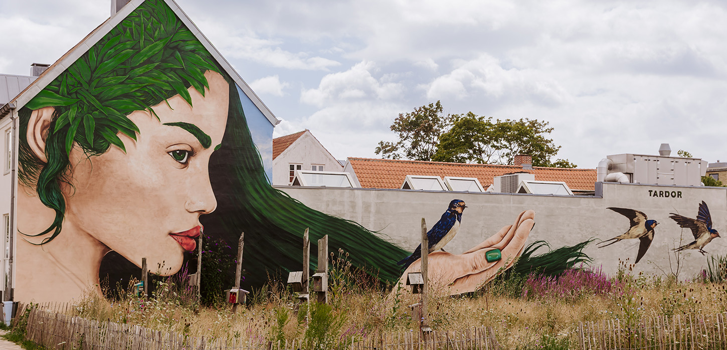 Street art - pige og fugle i Middelfart