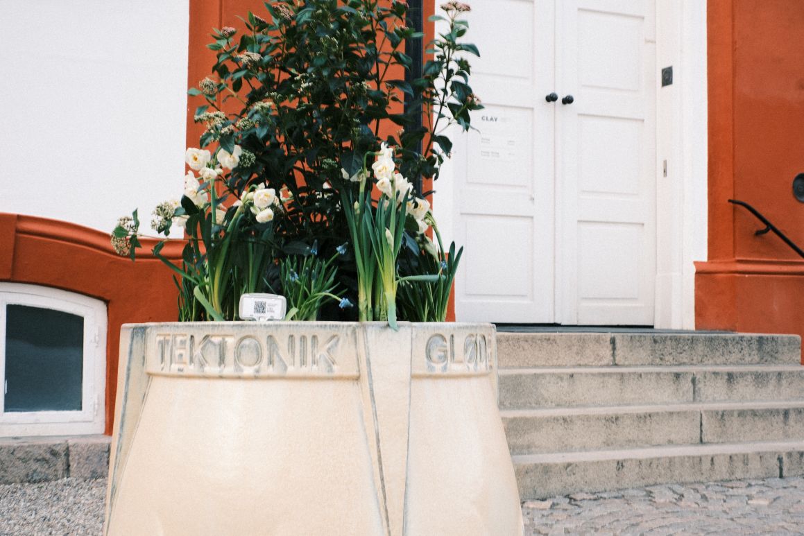 Middelfartkrukke set ved Clay. Krukken har en hvid glasering og plante i.