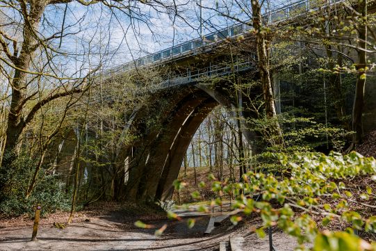 Den Gamle Lillebæltsbro set nedefra på land i en skov
