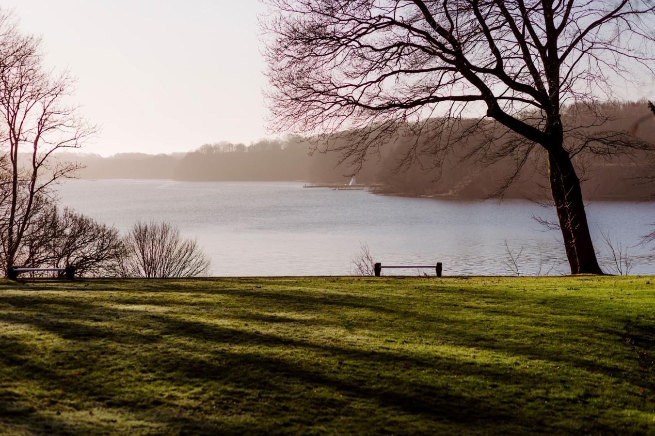 Hindsgavl halvøen udsigt. Stort træ i højre side og en bænk. Billedet er taget i morgendis