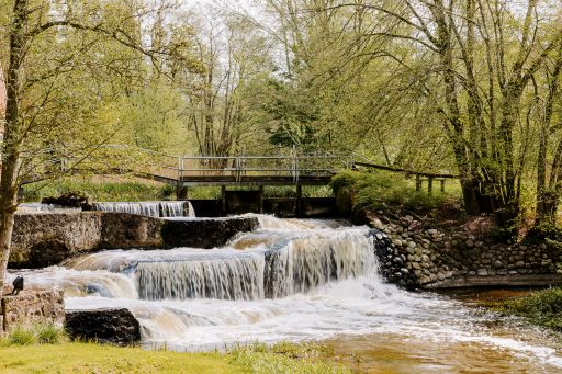 Fisketrappe ved Brænde Ådal