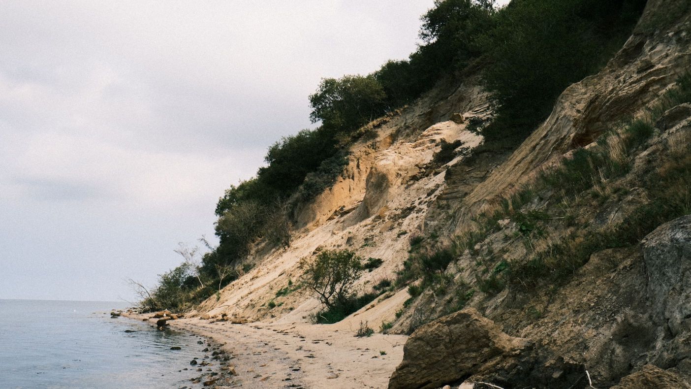 Røjleklint ved Lillebælt i Middelfart