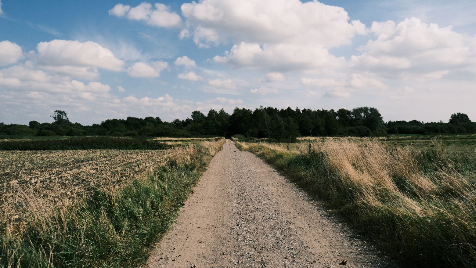 grusvej på en sommerdag. blå himmel med hvide skyer. Marker på begge sider af vejen og skov for enden