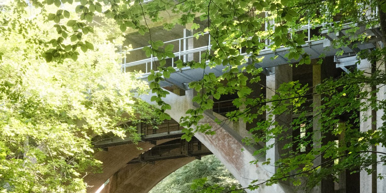 Toppen af Den Gamle Lillebæltsbro titter frem bag grønne træer i Hindsgavl Skoven. Det er en sommerdag og solen skinner. 