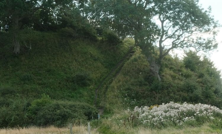Lillebæltstien på eng. På billedet ses en trappe op på en høj