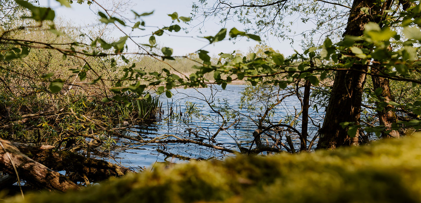 Tag på tur i Ejby Mose mange vandrebroer og oplev Nattergalen