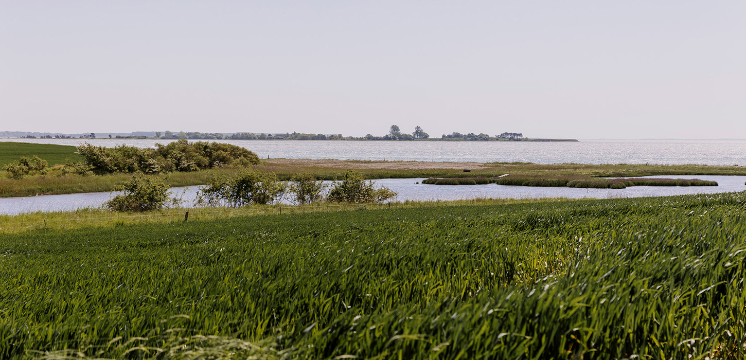 Gamborg Fjord i Middelfart