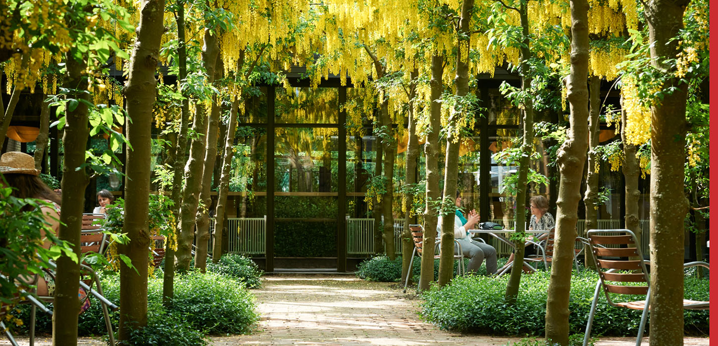 Gårdhaven - HUSET Middelfart