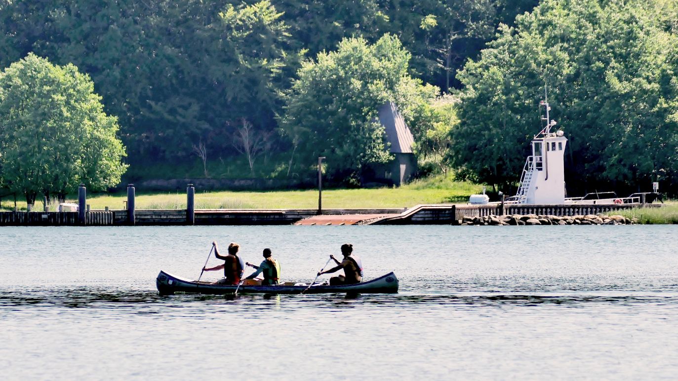 Tre personer sejler kano på Fænøsund. Det er en sommerdag og solen skinner. I baggrunden ses en skov og et udkigstårn