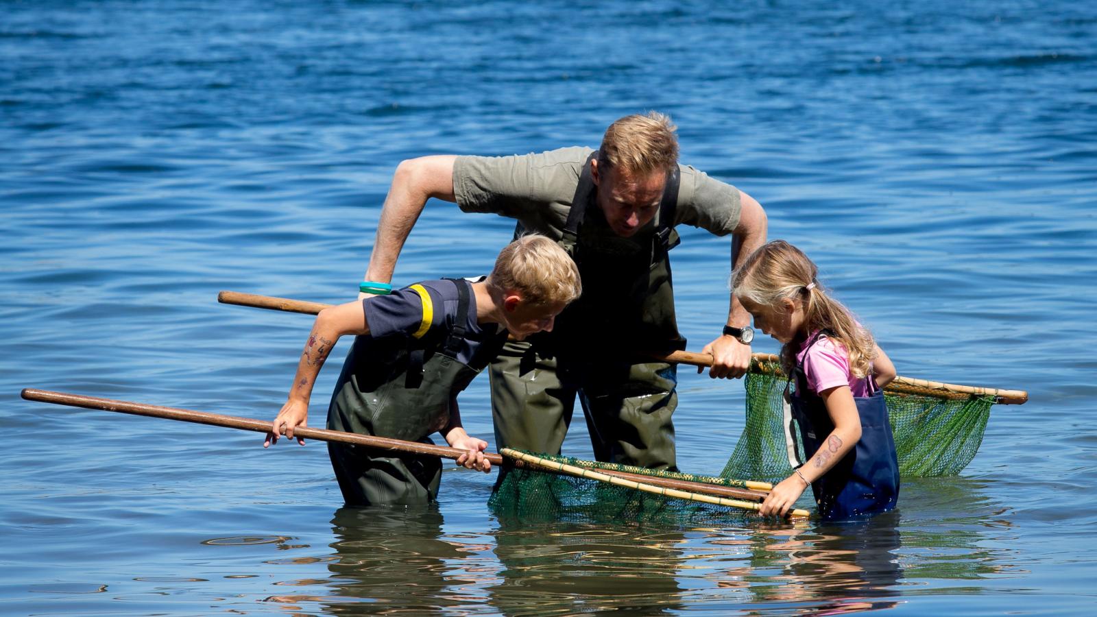 Børn fanger krabber i Lillbælt