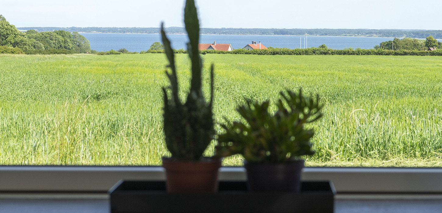 Samsted sovested - mød de lokale