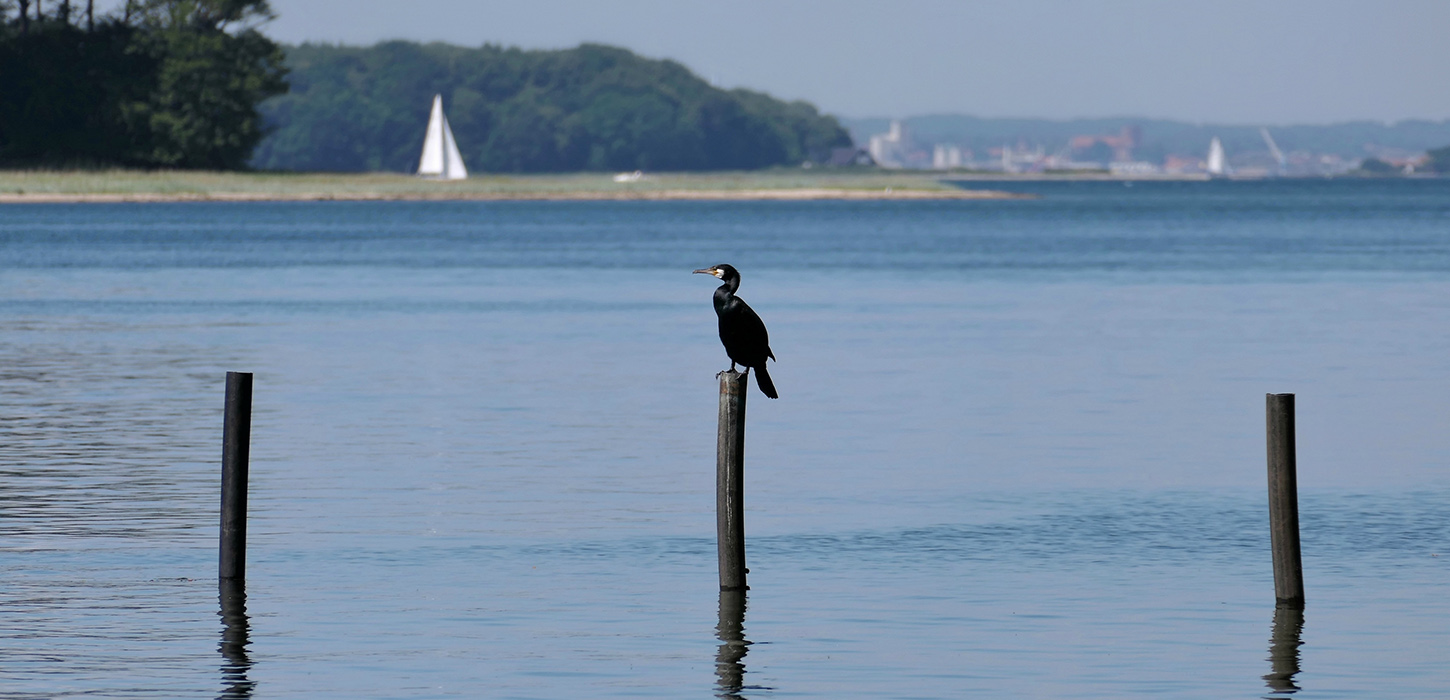 Fønøsund er et oplagt sted at nyde en sejltur