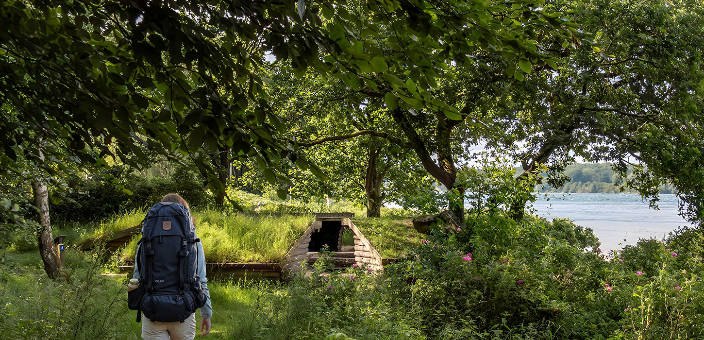 Shelter ved søbadet ligger ud til Lillebælt med skoven som baggrund