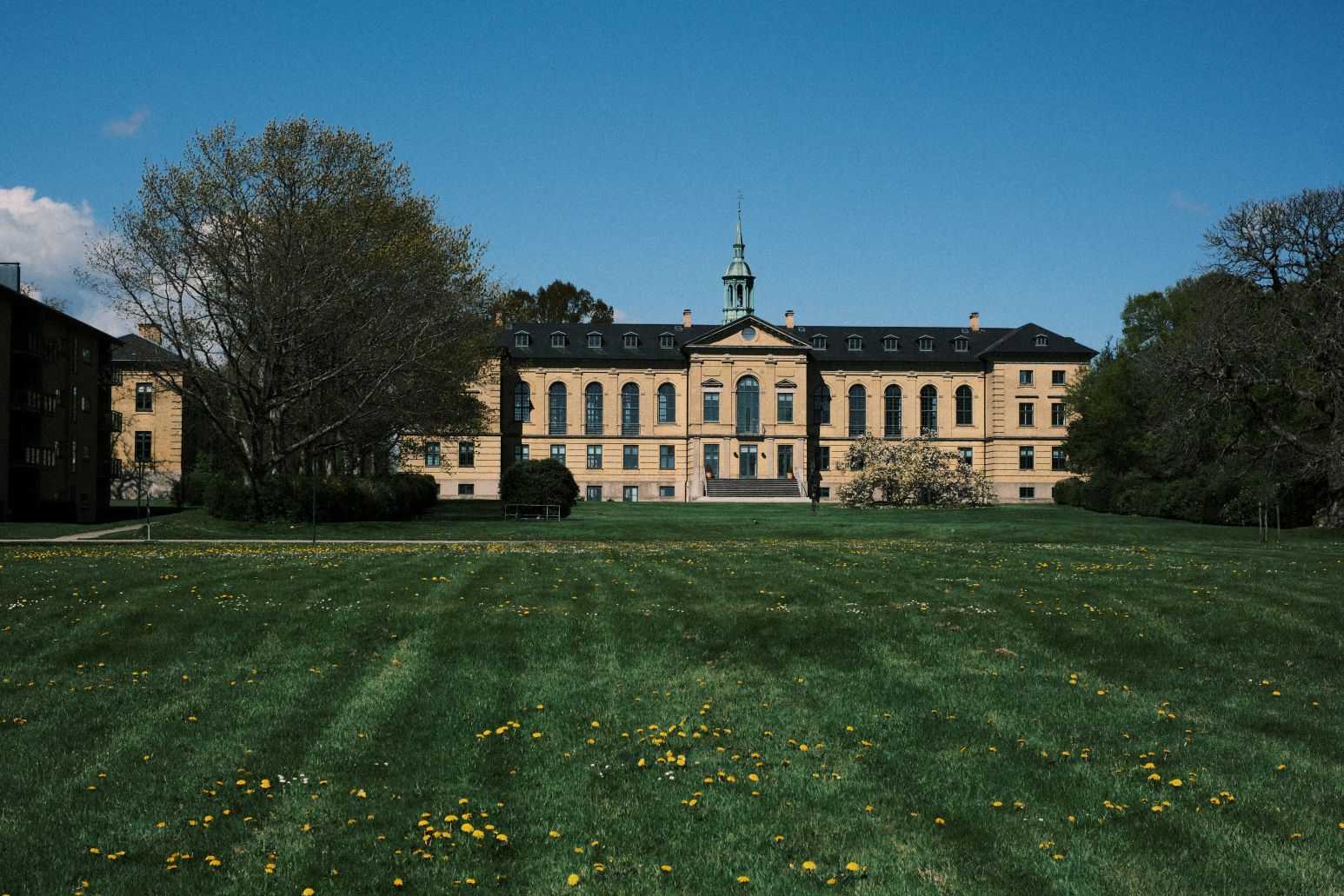 Teglgaardsparken. Stor græsplæne med enkelte mælkebøtter. Det er blå himmel og for enden af græsplænen ligger et stort gult murstenshus der er tidligere psykiatrisk afdeling 