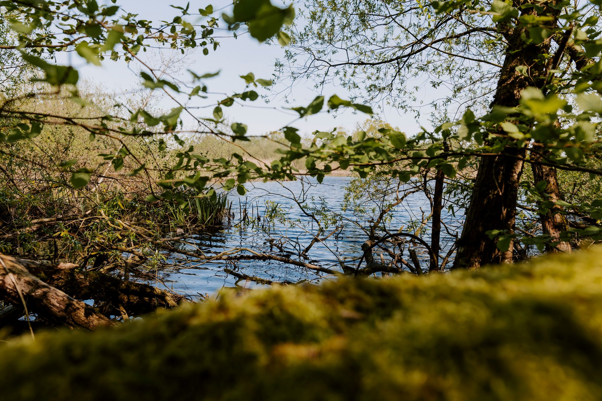 Tag på tur i Ejby Mose mange vandrebroer og oplev Nattergalen