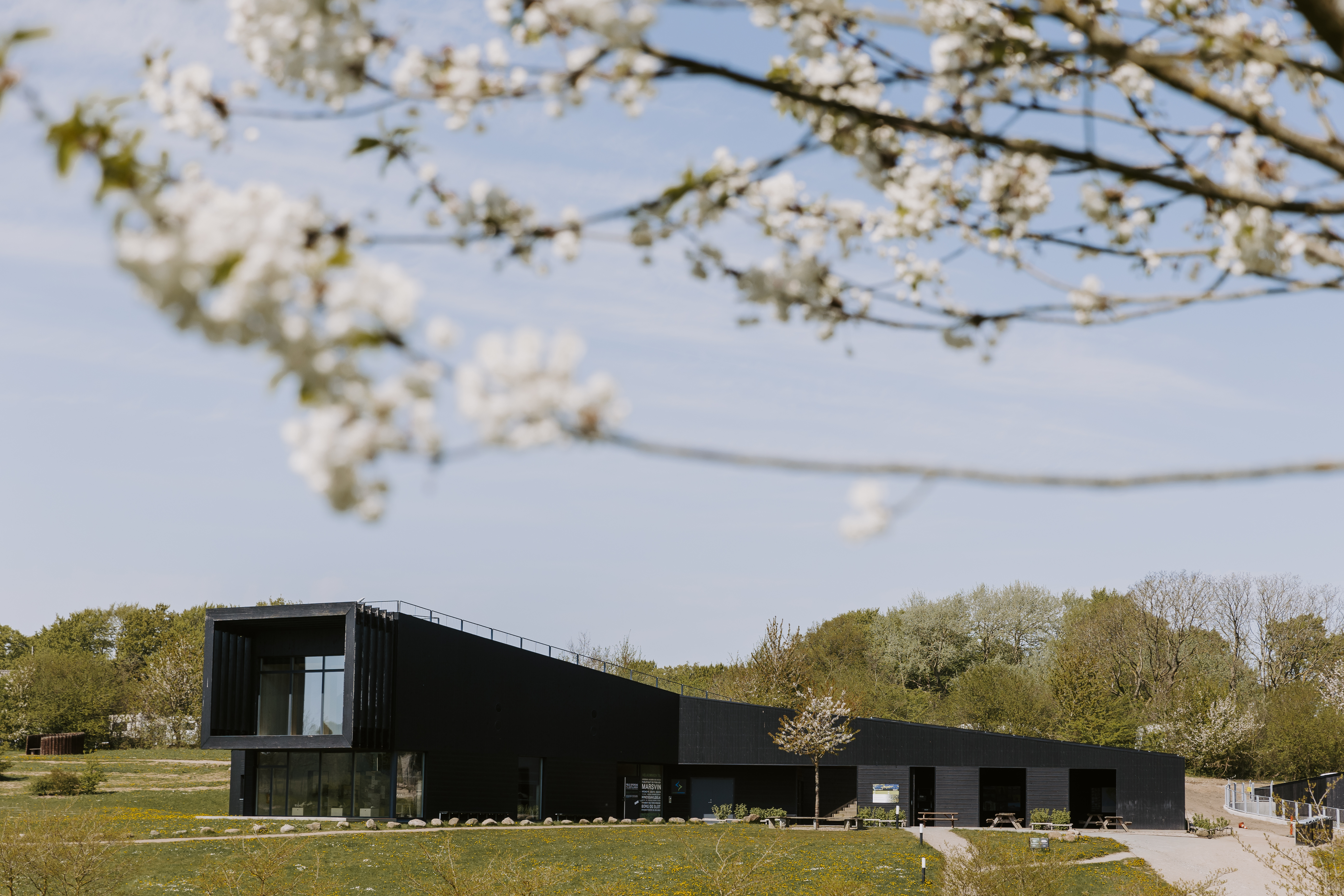 Naturcenter Hindsgavl - akitektonisk bygning i naturskønne omgivelser. Man ser et æbletræ i forgrunden