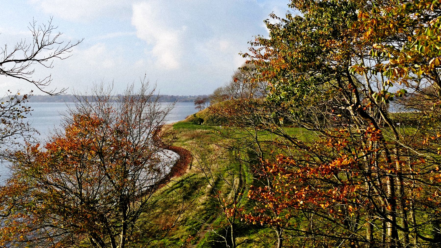Hindsgavl voldsted, det er efterår og bladene er orange. Kysten snor sig langs bæltet. 