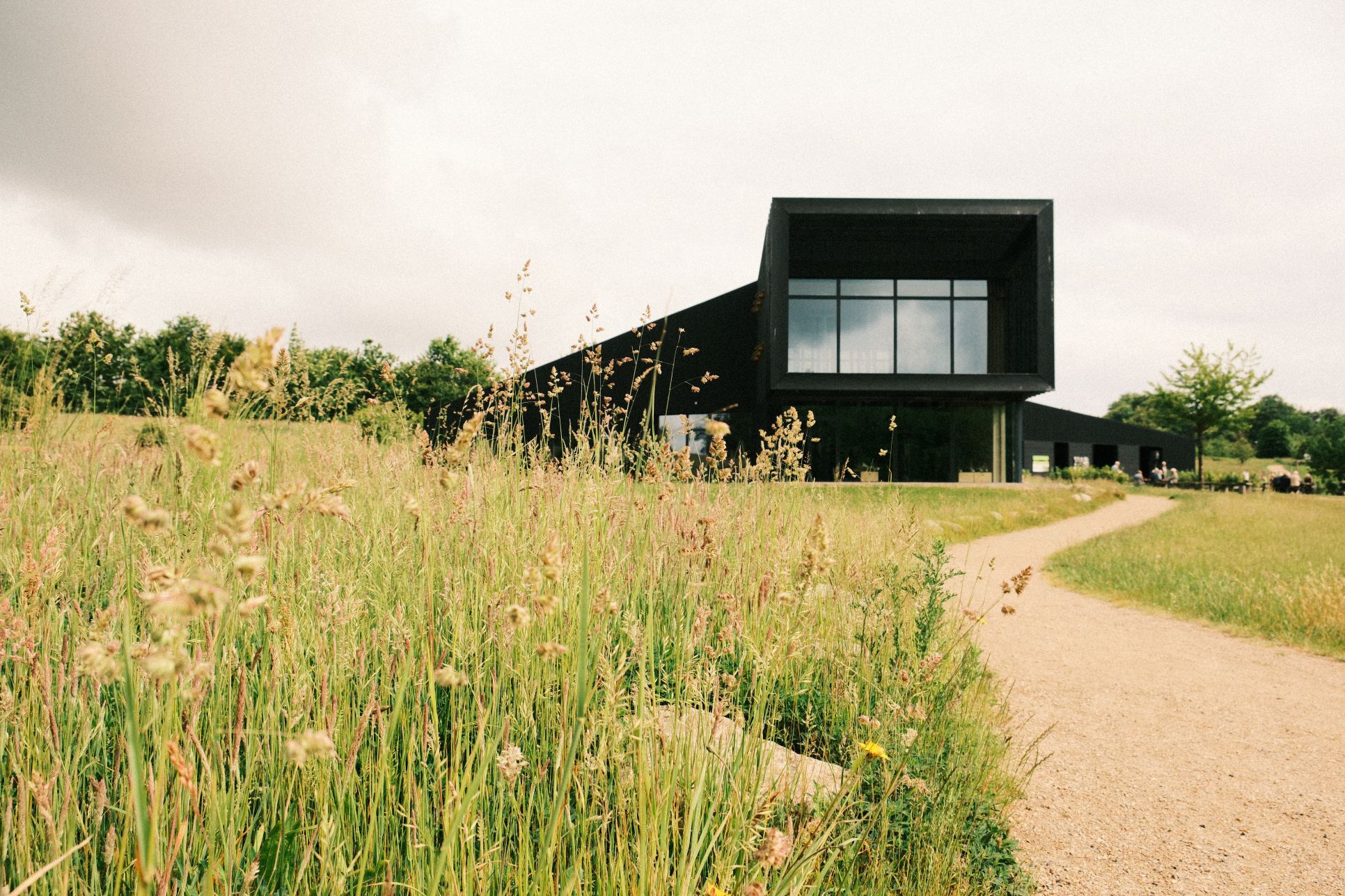 Natur center Hindsgavl. arkitektonisk bygning i sort lakeret træ og store panorama vinduer. bygningen gror ud af landskabets bakkede terræn