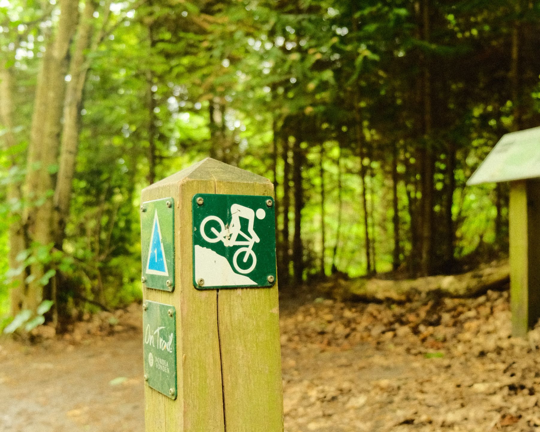 Mountainbike rute skilt i Staurby Skov.