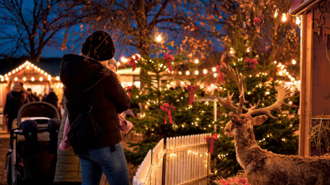 En kvinde står med et barn på armen og kigger på en juledekoration med et ransdyr. Der er juletæer i baggerunden, julemarkedhuse og julelys