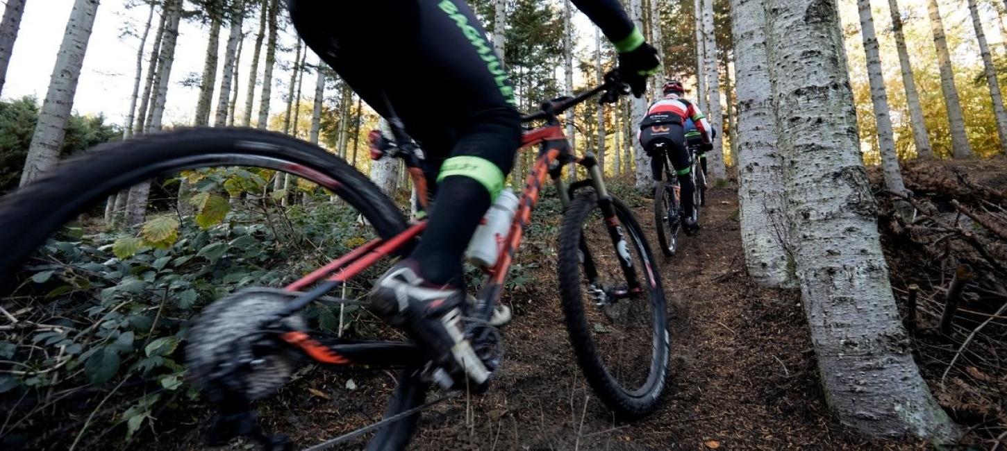 Mountainbikeryttere i fuld fart op af bakke