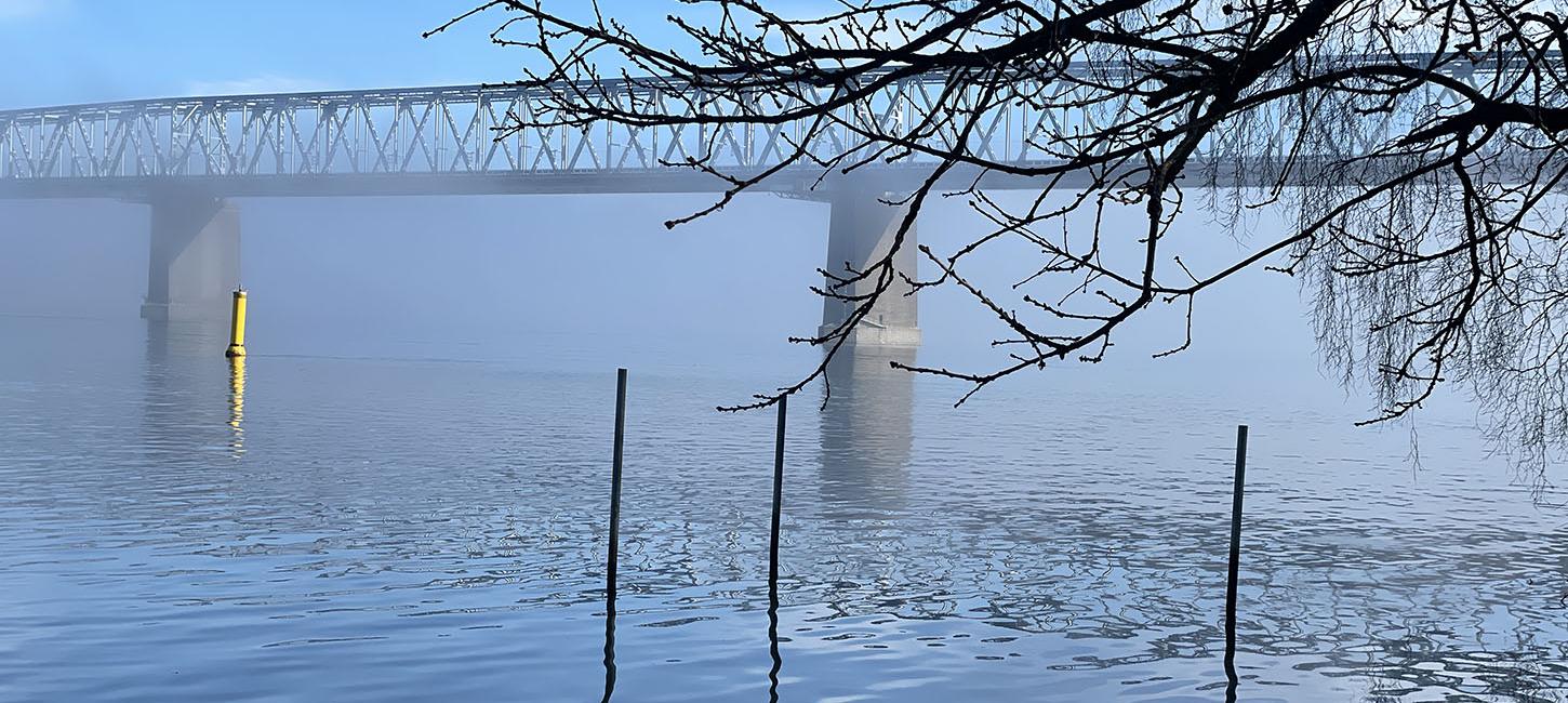 Lyset ved Lillebælt finder du i mange kunstværker fra Middelfart