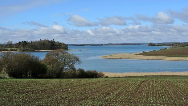 Forår ved Gamborg Fjord - Middelfart