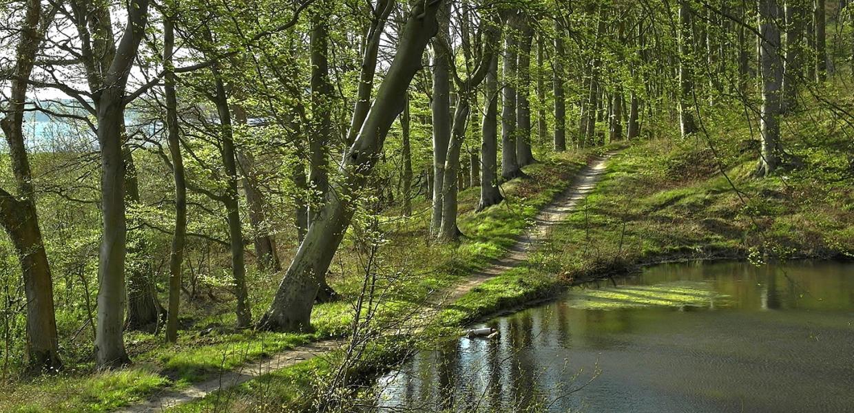 Lillebæltsstien-Hindsgavl Halvøen-Middelfart
