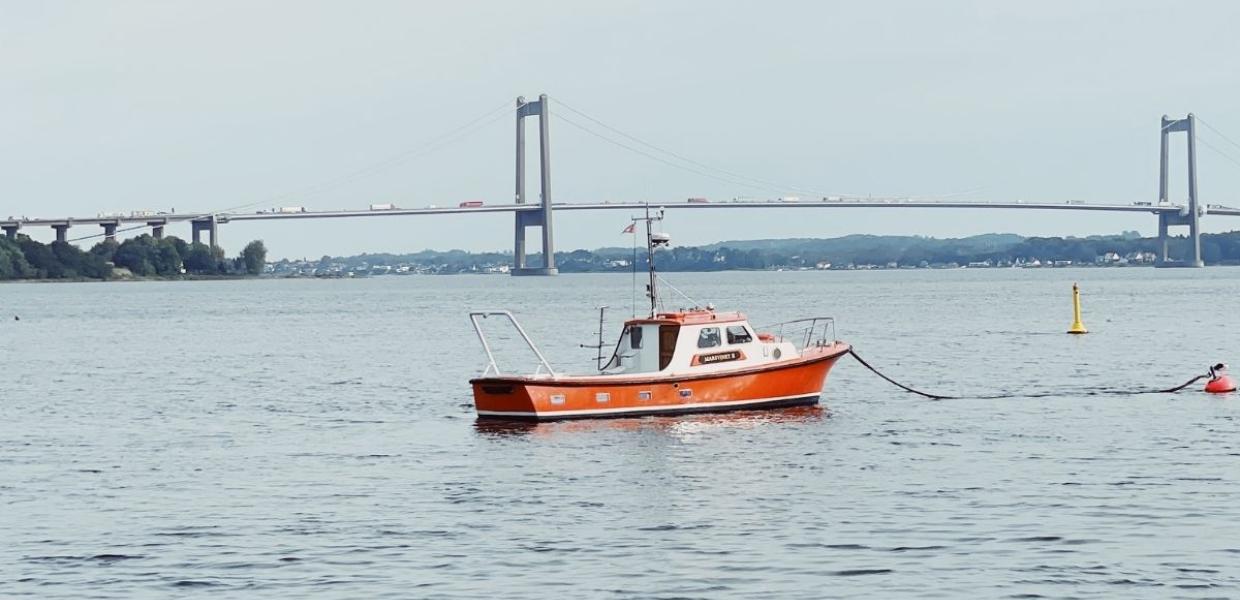 Sejlbåd i Middelfart med Den nye Lillebæltsbro i baggrunden