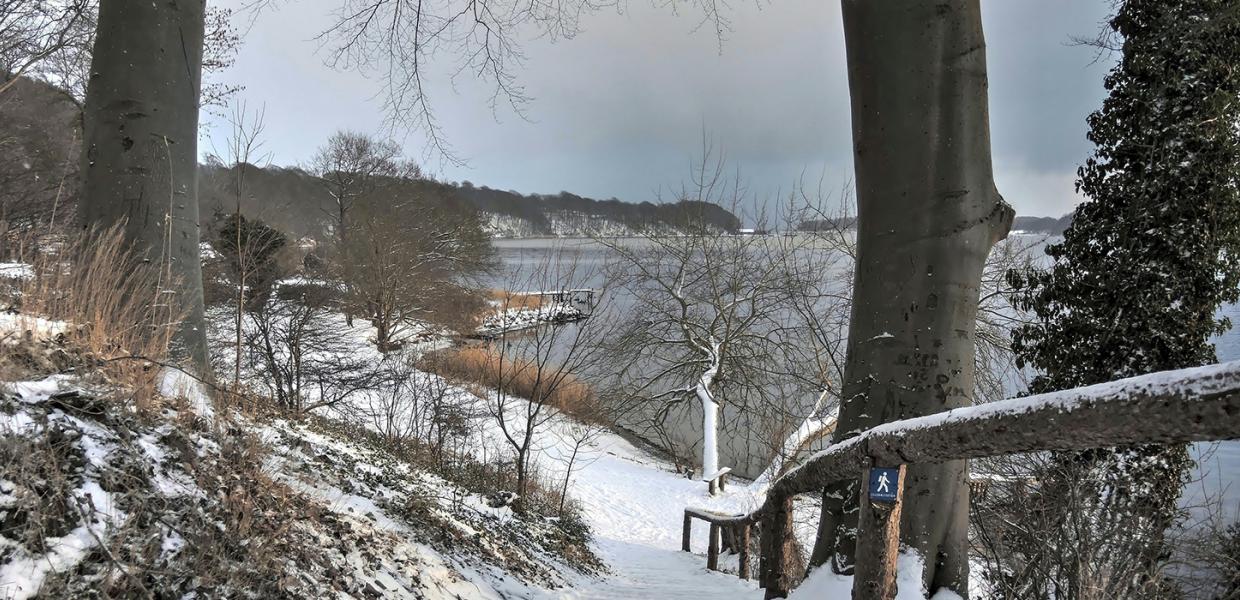 Smuk er naturen langs Lillebæltsstien i Middelfart