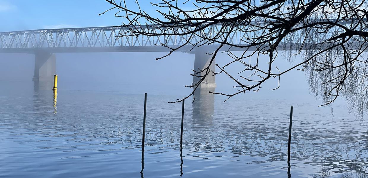 Lyset ved Lillebælt finder du i mange kunstværker fra Middelfart