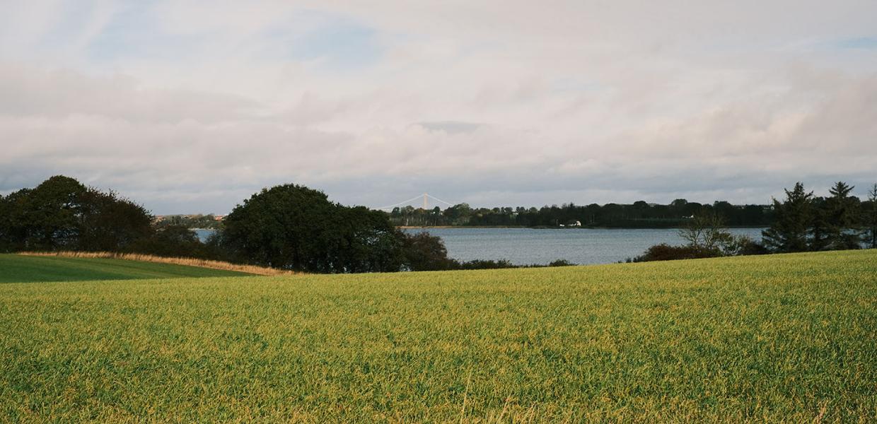 Et kig fra Føns land over Gamborg Fjord.