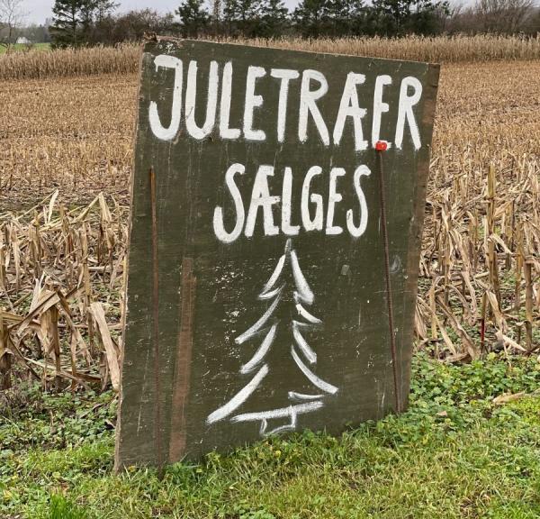 Juletræer sælges