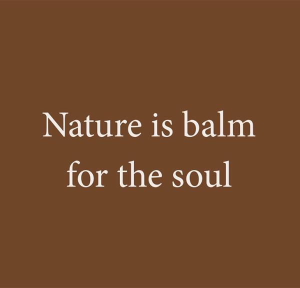 Nature is balm for the soul