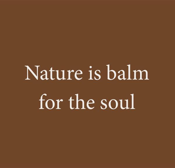 Nature is balm for the soul