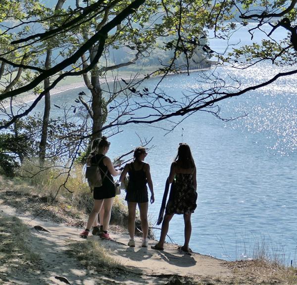 Lillebæltsstien- smuk udsigt fra Gals Klint