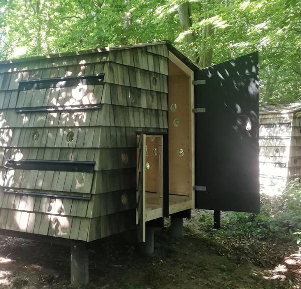 Shelterplads i Staurby Skov imellem Strib og Middelfart