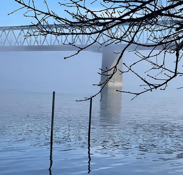 Lyset ved Lillebælt finder du i mange kunstværker fra Middelfart