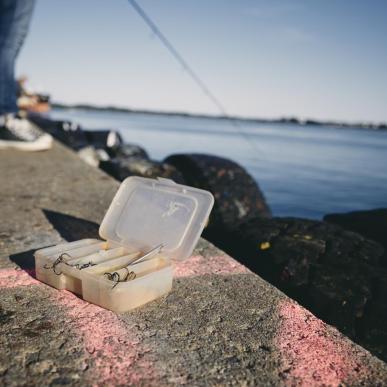 Fiskeri på Gl. Havn i Fredericia